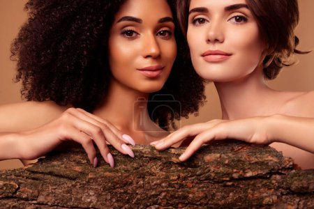 Téléchargez les photos : Photo de deux attrayant fille tendre publicité produit écologique pour une peau lisse impeccable avec extrait d'arbre. - en image libre de droit