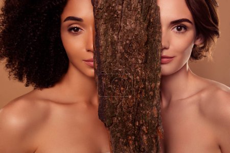 Foto de Foto de dos atractivas chicas gentiles ninfas místicas ocultan media cara con corteza de árbol procedimiento rejuvenecedor orgánico. - Imagen libre de derechos