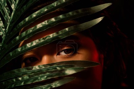Photo for Cropped photo of asian girl with bronze skin hide behind green long palm leaves. - Royalty Free Image
