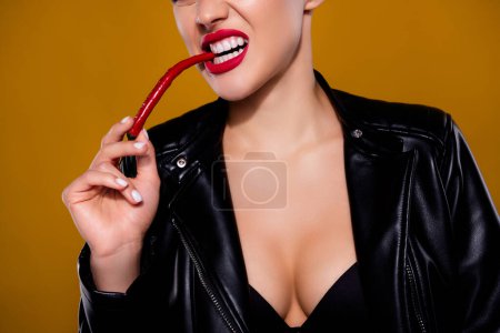 Photo for Cropped photo of aggressive lady leather jacket biting red hot chili pepper isolated on pastel brown color background. - Royalty Free Image
