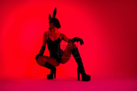 Téléchargez les photos : Photo de fille dame assise pose regarder profil côté usure cuir noir masque de lapin costume isolé fond de couleur rouge. - en image libre de droit