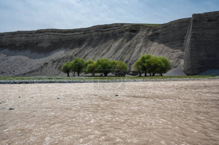 Paisaje con árboles junto al río en las rocas en el cañón de Aksu en Kazajstán