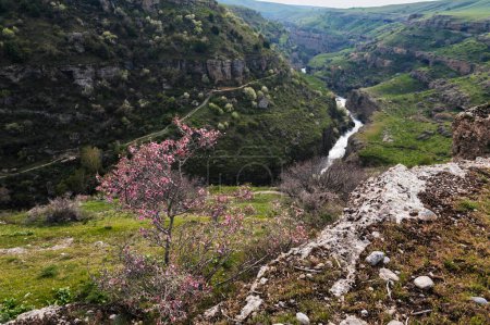 Panoramic view of the Aksu canyon with a river in the rocks in spring in Kazakhstan