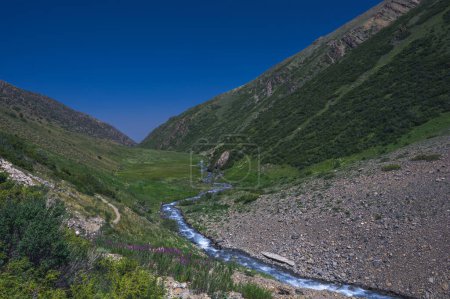 Photo for Mountain river in a field in a valley in the Koksai gorge in the Aksu-Zhabagly Nature Reserve in Kazakhstan in summer - Royalty Free Image