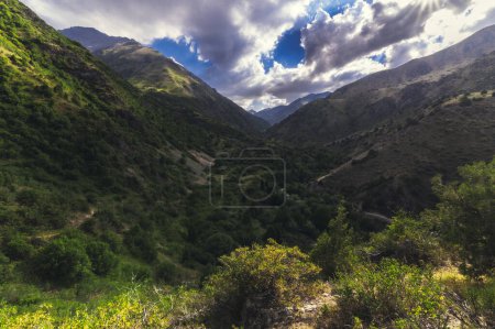 Photo for Panorama with a view of the green gorge in the Tien Shan mountains in summer in Kazakhstan in the Aksu-Dzhabagly Nature Reserve - Royalty Free Image
