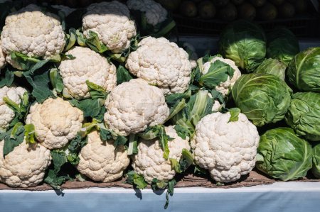 harvest of fresh cauliflower and cabbage on the shelf at the vegetable farmers market