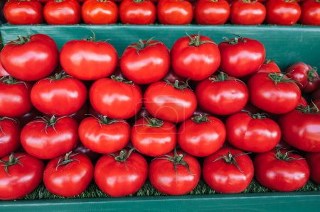 Verkaufsstand mit frischen Tomaten auf dem Bauernmarkt. Rote Tomaten in den Regalen der Lebensmittelgeschäfte