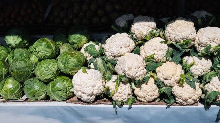 fresh harvest of raw cauliflower and cabbage on the shelf at the vegetable farmers market