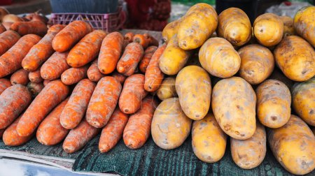 fresh harvest of orange and yellow carrots on the shelves of the vegetable farmers bazaar