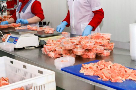 fish factory. High quality photo-stock-photo