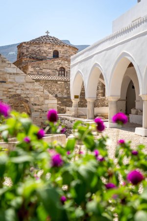 Flowers in courtyard of Panagia Ekatontapiliani in Paros