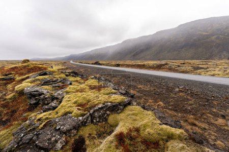 Straße nach Regen in Island im Frühling