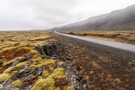 Straße nach Regen in Island im Frühling