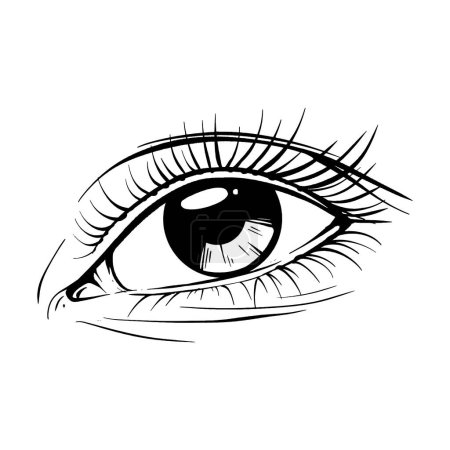 Hermoso dibujo dibujado a mano ojo femenino vector ilustración línea de arte