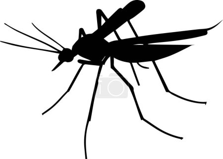 Téléchargez les illustrations : Une silhouette vectorielle de moustique - en licence libre de droit