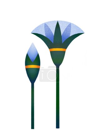 Decorative ornamental flowers in the style of ancient egypt, isolated on a white background. Digitally painted illustartion in the technique of an airbrushing.
