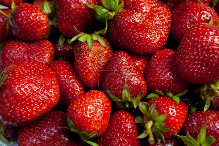 Photo for Red strawberries close up - Royalty Free Image