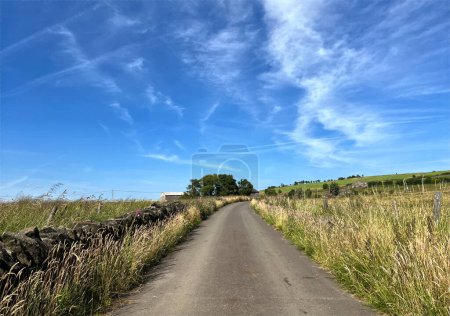Foto de Vista a lo largo, Tame Lane, con paredes de piedra seca, plantas silvestres y árboles, situado contra un cielo azul en, Delph, Reino Unido - Imagen libre de derechos