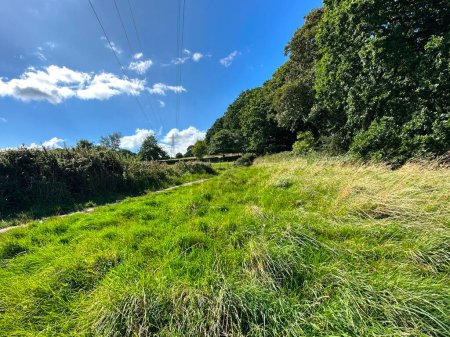 Foto de Vea a través de hierbas silvestres, un sendero, árboles viejos y plantas silvestres, en un día soleado cerca de Altar Lane, Harden, Bingley, Reino Unido - Imagen libre de derechos