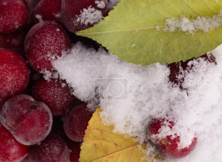 Foto de Grupo de cerezas congeladas sobre fondo blanco
. - Imagen libre de derechos