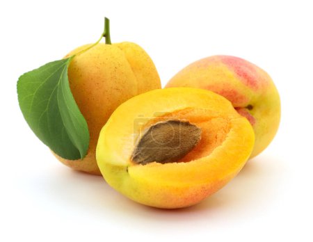 Téléchargez les photos : Fruits d'abricot avec feuille isolée sur fond blanc. - en image libre de droit