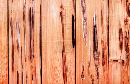 Foto de Hermoso grano de madera. Fondo de madera. Madera grano patrón textura fondo - Imagen libre de derechos