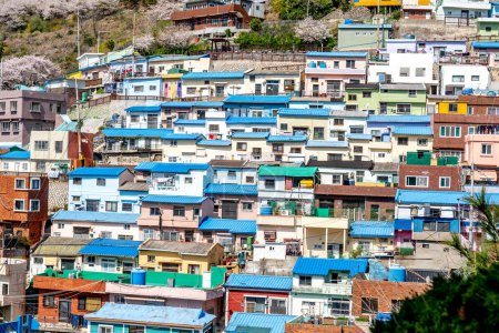 Foto de Gamcheon Culture Village, Busan, Corea del Sur. La zona es conocida por sus calles empinadas, callejones retorcidos y casas pintadas con colores brillantes.. - Imagen libre de derechos