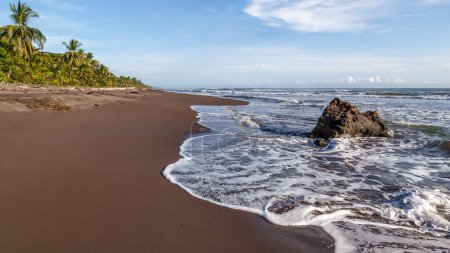 Foto de Playa en el Parque Nacional Tortuguero en Costa Rica - Imagen libre de derechos