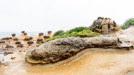 Foto de Rocas de hongos en el Geoparque Yehliu en Taiwán.Las rocas de hongos se forman con rocas en forma de globo en la parte superior mientras se apoyan en los pilares de piedra delgada en la parte inferior. - Imagen libre de derechos
