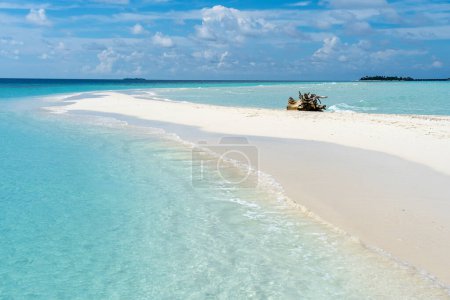 Téléchargez les photos : Un camion d'arbres sur la plage de sable avec les îles en arrière-plan aux Maldives - en image libre de droit