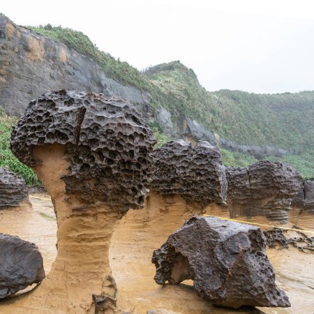 Pilzfelsen im Yehliu Geopark in Taiwan.Die Pilzfelsen bestehen aus kugelförmigen Felsen an der Spitze, die von den dünnen Steinsäulen am Boden gestützt werden..