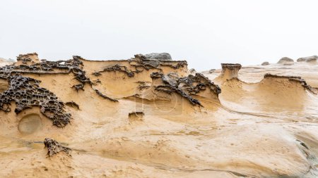 Téléchargez les photos : Honeycomb Weathering rock at Yehliu Geopark in Taiwan. Les roches alvéolées se réfèrent aux roches qui sont recouvertes de trous de différentes tailles et apparaissent comme les rayons de miel en conséquence. - en image libre de droit