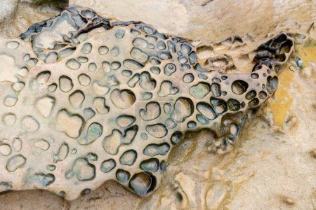 Téléchargez les photos : Honeycomb Weathering rock at Yehliu Geopark in Taiwan. Les roches alvéolées se réfèrent aux roches qui sont recouvertes de trous de différentes tailles et apparaissent comme les rayons de miel en conséquence. - en image libre de droit