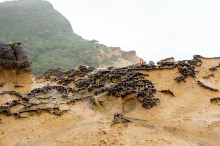 Photo for Honeycomb Weathering rock at Yehliu Geopark in Taiwan. Honeycombed rocks refer to the rocks that are covered with holes of different sizes and appear like the honeycombs as a result. - Royalty Free Image
