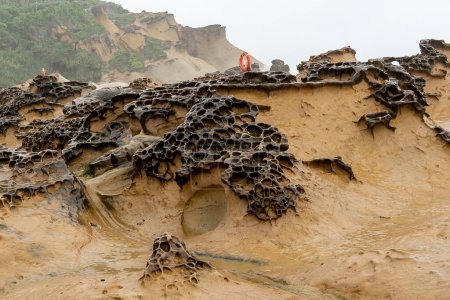 Foto de Honeycomb Weathering rock en el Geoparque Yehliu en Taiwán. Rocas de panal se refieren a las rocas que están cubiertas con agujeros de diferentes tamaños y aparecen como los panales como resultado. - Imagen libre de derechos