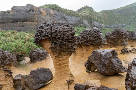 Téléchargez les photos : Pierres de champignons à Yehliu Geopark à Taiwan.Les roches de champignons sont formées avec des roches en forme de globe sur le dessus tout en soutenant par les piliers de pierre minces sur le fond. - en image libre de droit