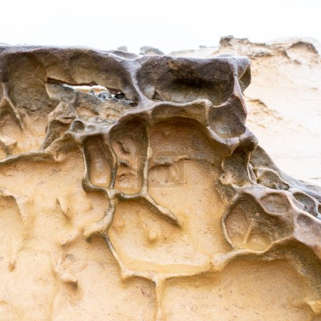 Foto de Honeycomb Weathering rock en el Geoparque Yehliu en Taiwán. Rocas de panal se refieren a las rocas que están cubiertas con agujeros de diferentes tamaños y aparecen como los panales como resultado. - Imagen libre de derechos