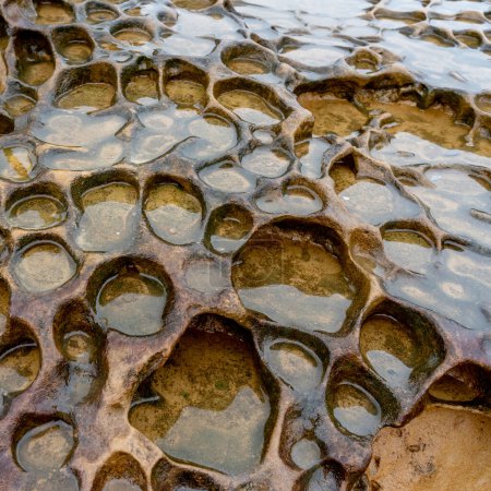Photo for Honeycomb Weathering rock at Yehliu Geopark in Taiwan. Honeycombed rocks refer to the rocks that are covered with holes of different sizes and appear like the honeycombs as a result. - Royalty Free Image