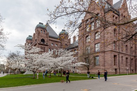 Téléchargez les photos : Toronto, Canada- Le 5 mai 2018 : Des gens regardent des cerisiers fleurir avec l'édifice de l'Assemblée législative de l'Ontario en arrière-plan à Queen's Park, Toronto, Ontario - en image libre de droit
