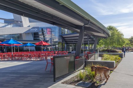 Foto de Mountain View, California, Estados Unidos - 29 de marzo de 2018: Un perro en el campus de la sede de Google en Silicon Valley, Estados Unidos. Google Empleados autorizados a llevar a su perro al trabajo. - Imagen libre de derechos