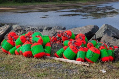 Photo for Brightly colored lobster trap buoys - Royalty Free Image