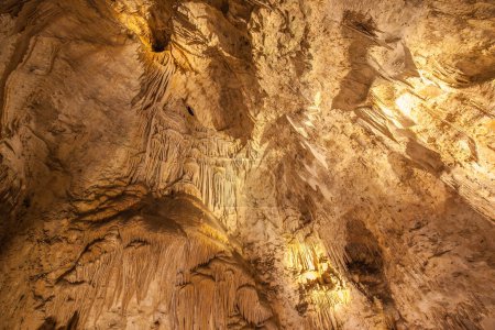 Foto de Vista en las cuevas del Parque Nacional de las Cavernas Carlsbad, en el desierto chihuahuense del sur de Nuevo México, conocido parque nacional famoso por sus cuevas de piedra caliza, formaciones rocosas y rutas de senderismo. - Imagen libre de derechos