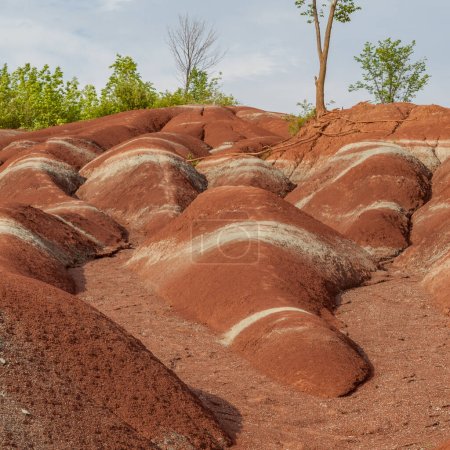 Photo for The Cheltenham Badlands in Caledon in summer, Ontarion, Canada, a small example of badlands formation. - Royalty Free Image
