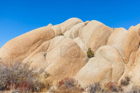 Téléchargez les photos : Rocks in the Joshua Tree National Park, Californie, États-Unis - en image libre de droit