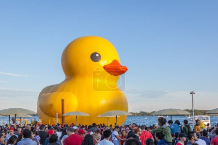 Photo for TORONTO, CANADA - JULY 1, 2017: The World's Largest Rubber Duck in Toronto Harbour for Canada Day with sailboat in background. - Royalty Free Image