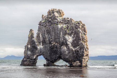 Hvtserkur (Dinosaur Rock) en iceland. Hvtserkur es una pila de basalto de 15 m de altura a lo largo de la orilla oriental de la península de Vatnsnes, en el noroeste de Islandia..