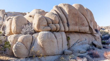 Photo for Rocks in the Joshua Tree National Park, California, USA - Royalty Free Image