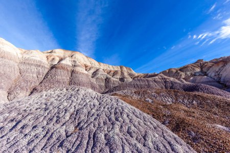 Téléchargez les photos : Vue du parc national de la forêt pétrifiée, Arizona, États-Unis. Le parc national de la forêt pétrifiée est connu pour les fossiles d'arbres tombés il y a environ 225 millions d'années.. - en image libre de droit