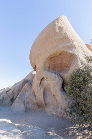 Téléchargez les photos : Rocks in the Joshua Tree National Park, Californie, États-Unis - en image libre de droit