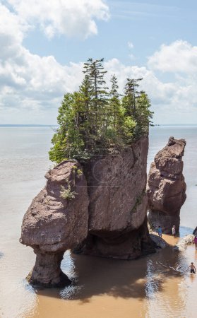 Téléchargez les photos : Nouveau-Brunswick, Canada - Le 5 août 2017 : Vue des roches Hopewell, aussi appelées les rochers Flowerpots, causées par l'érosion des marées dans le site d'exploration marémotrice de l'océan Hopewell Rocks. - en image libre de droit
